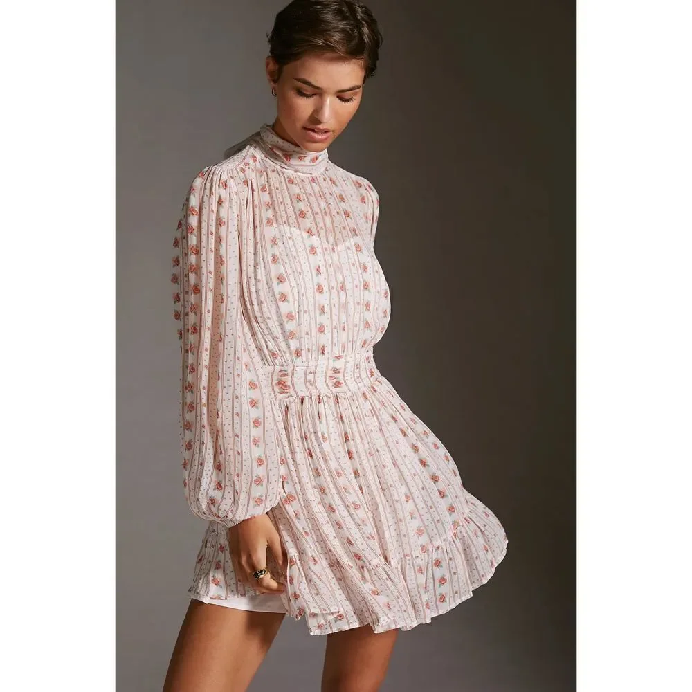 Let Me Be Mock Neck Sheer Mini Dress XSmall Petite